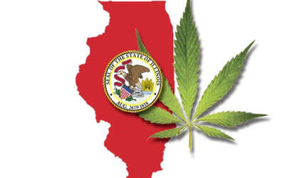 Chicago Drug Lawyer - Cook County Drug Lawyers